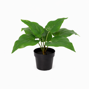 Philodendron künstlich, 25 cm, Imperial Green