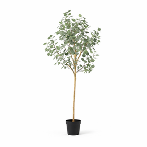 Eukalyptus künstlich