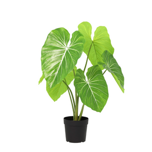 Philodendron künstlich