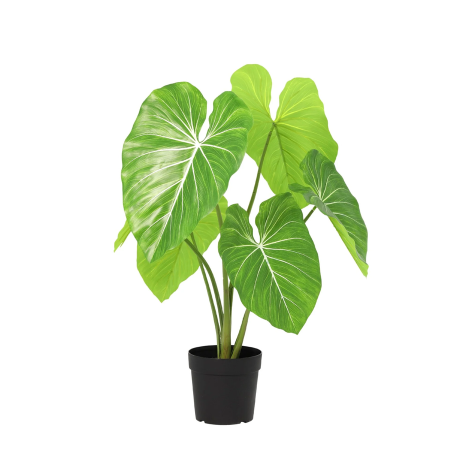 Philodendron künstlich
