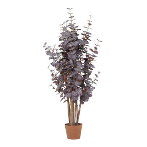 Eukalyptus künstlich