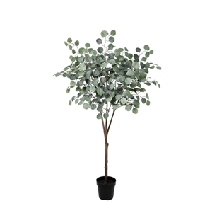 Eukalyptus künstlich