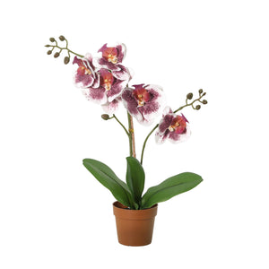 Orchidee künstlich