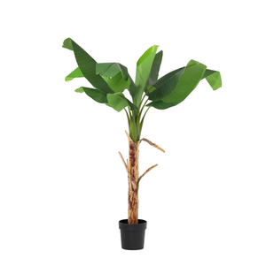 Bananenbaum künstlich