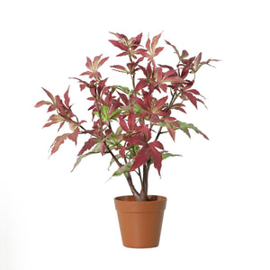 Japanischer Ahorn künstlich, 53 cm, Maple