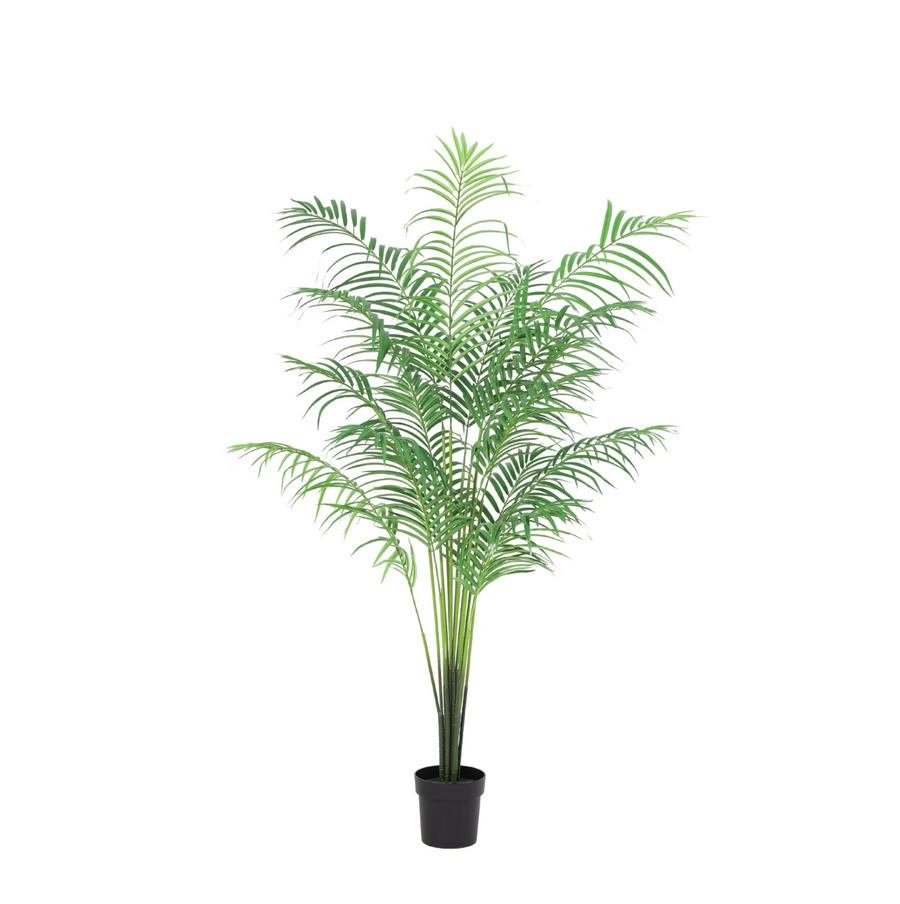 Kentia-Palme künstlich