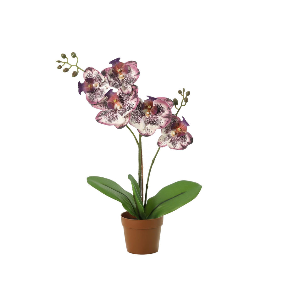 Orchidee künstlich