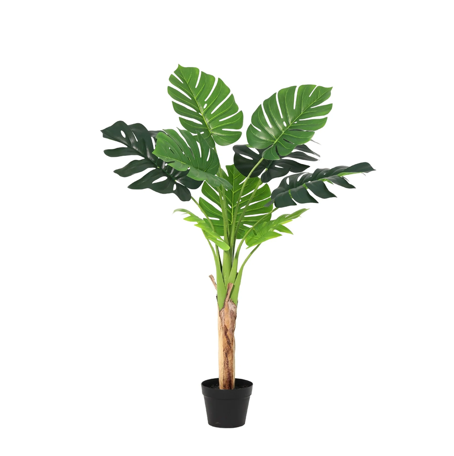 Monstera künstlich