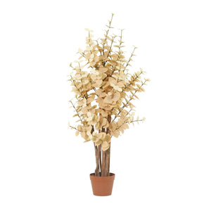 Eukalyptus künstlich