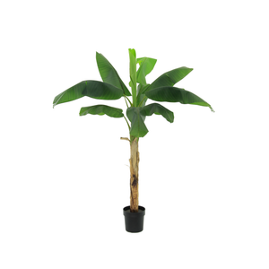 Bananenbaum künstlich