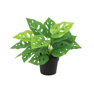Monstera Monkey Leaf künstlich, 22 cm