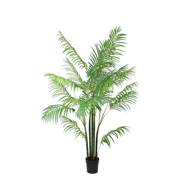 Areca-Palme künstlich