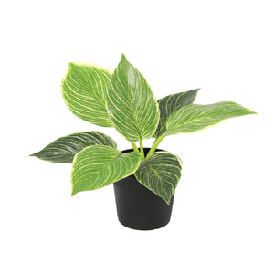 Philodendron künstlich, 20 cm, Birkin