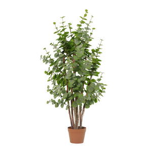 Eukalyptus künstlich