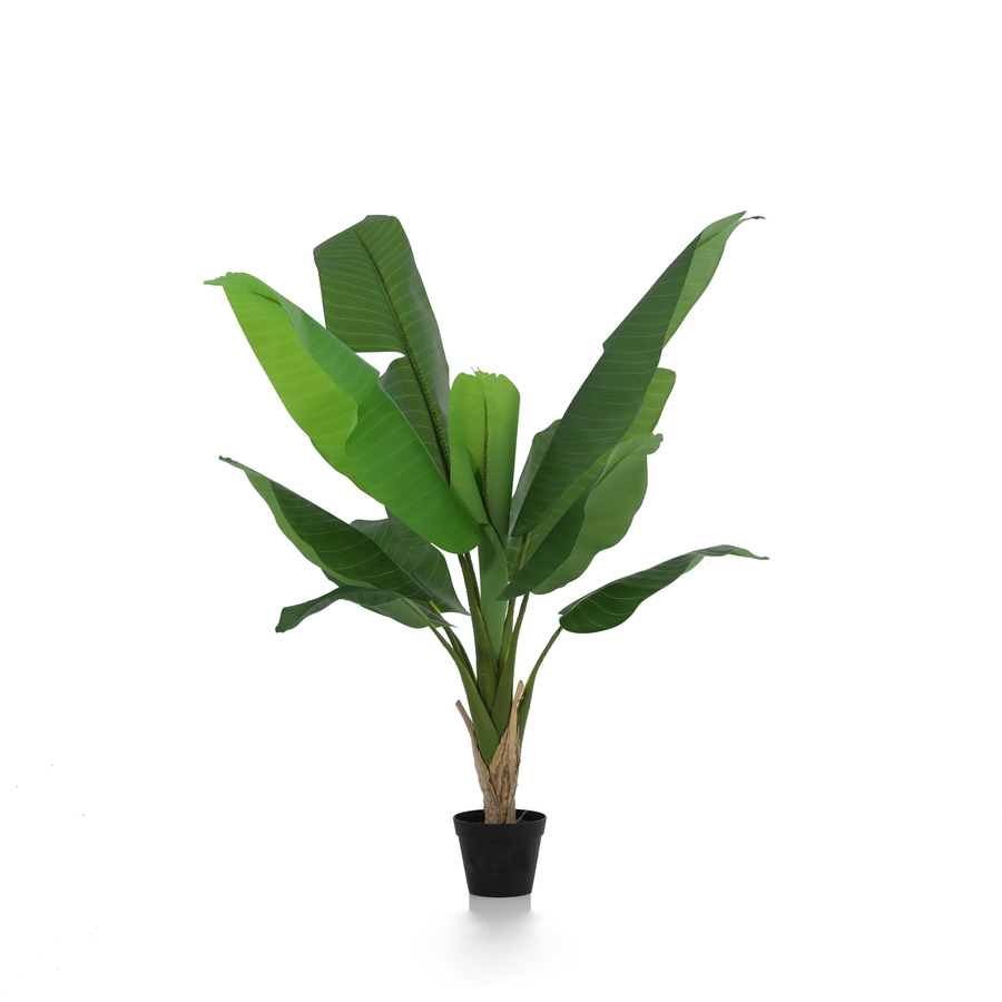 Bananenbaum künstlich