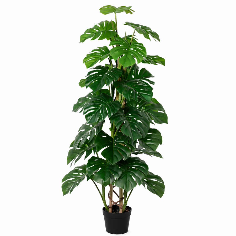 Monstera Monkey Leaf künstlich