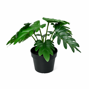 Philodendron künstlich, 20 cm, Xanadu