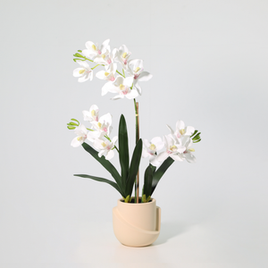 Orchidee künstlich